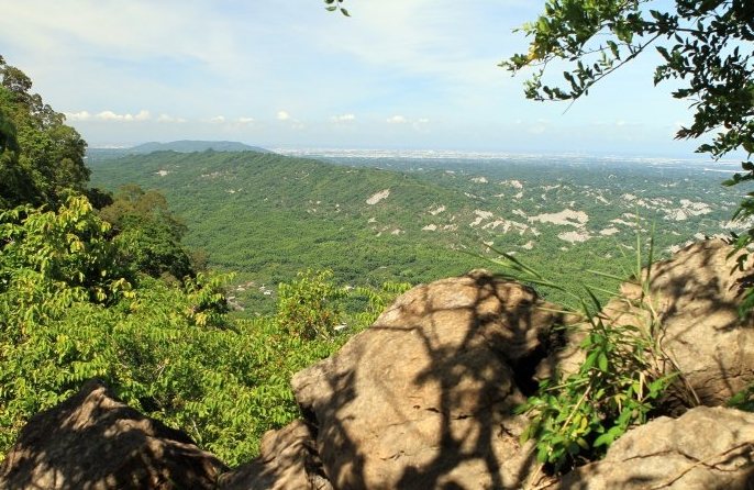 龍麟山步道：南化烏山步道全攻略，交通、路線資訊與周邊景點指南