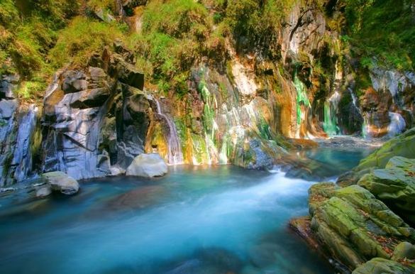 向陽山：經典三日行程規劃、必遊景點與住宿推薦全攻略