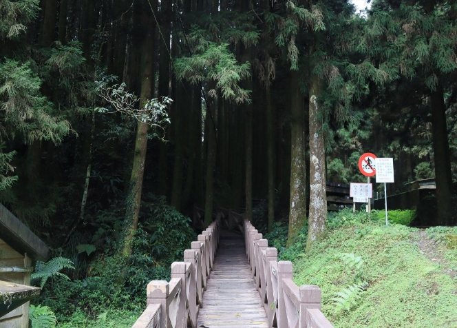二萬坪步道：探索迷霧森林與鐵道遺跡之旅