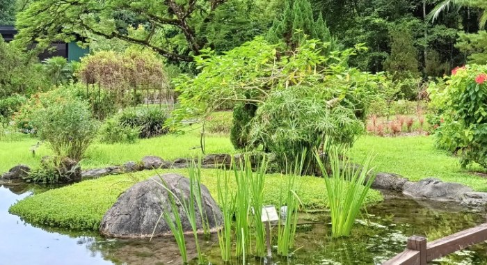 富源國家森林遊樂區：原始森林蝴蝶王國攻略，門票優惠、交通路線、住宿推薦全指南