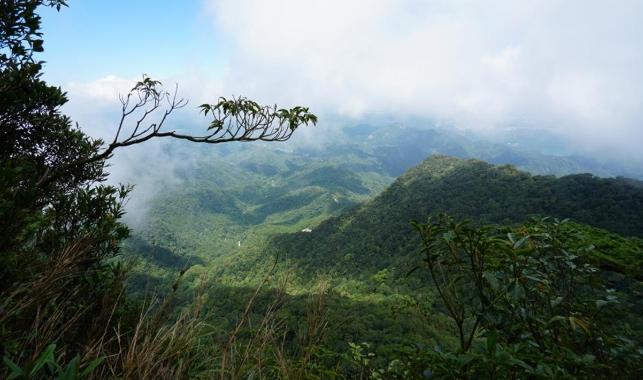 鳥嘴山：苗栗登山指南與周邊旅遊全攻略