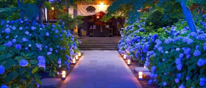 雲昌寺：細品寺廟靈魂角落與霧峰旅遊全攻略