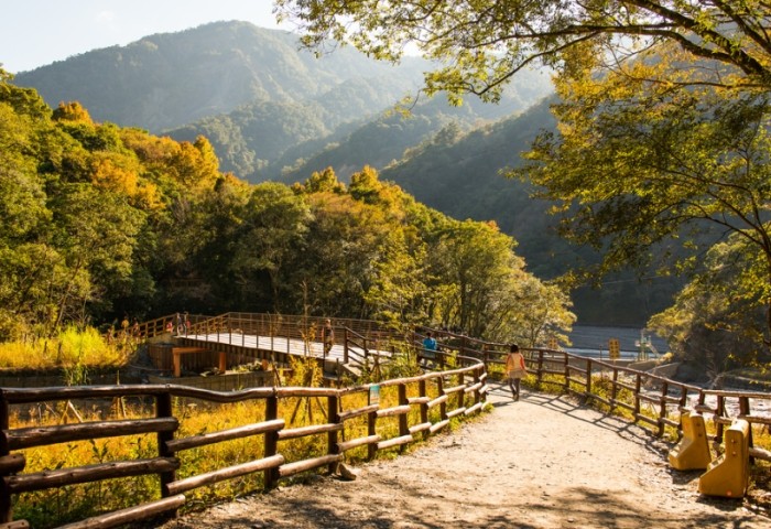 奧萬大森林遊樂區：完整旅遊攻略：魅力、優惠、交通、景點與住宿全解析