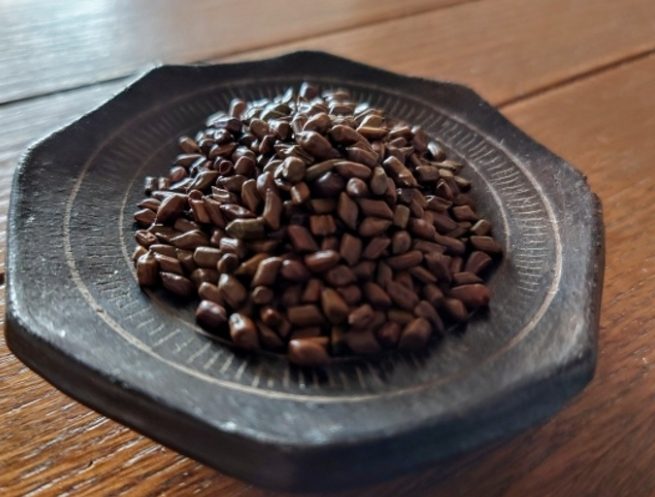 決明子功效：不只護眼，驚豔好處與禁忌全解析