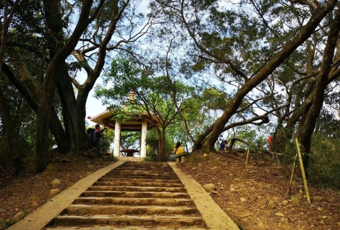 飛鳳山步道：完整攻略涵蓋交通、步道特色、資訊與周邊景點