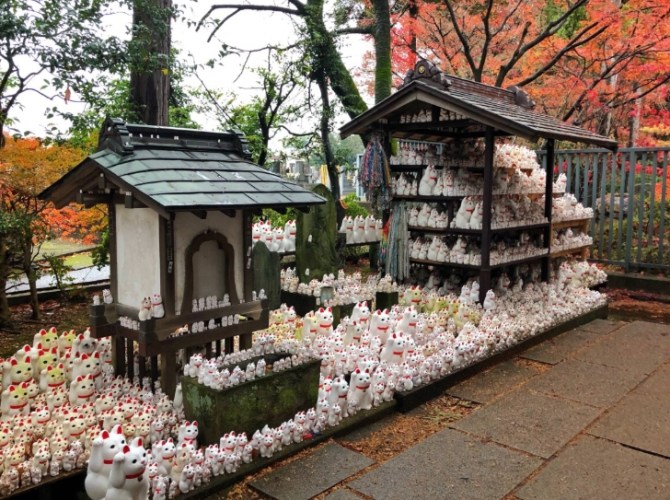 豪得寺：從傳說走進現實的朝聖之旅全攻略