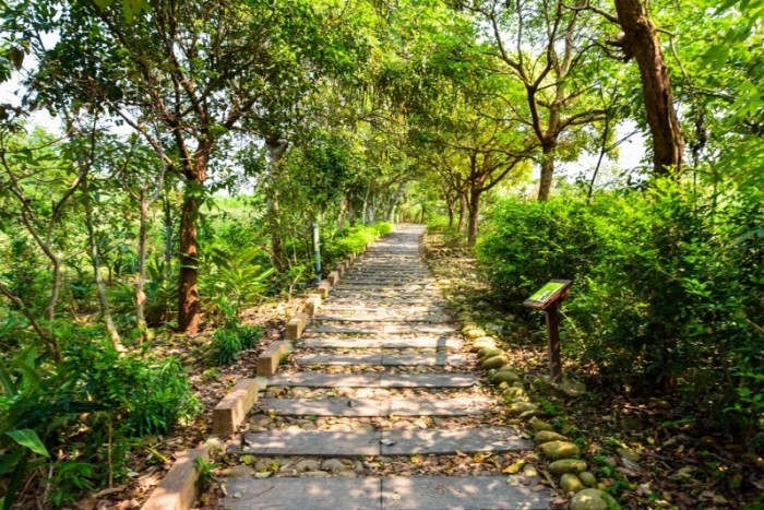 虎山登山步道：交通停車、步道介紹、資訊路線推薦、附近景點與注意事項