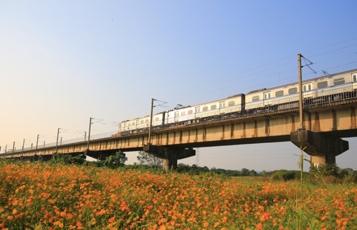 下淡水溪鐵橋: 最順交通攻略、必玩橋景與在地美食推薦