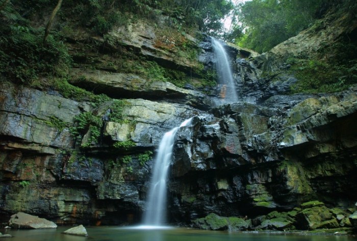 澀水森林步道：穿梭侏儸紀綠隧道的私房散步地圖與周邊攻略
