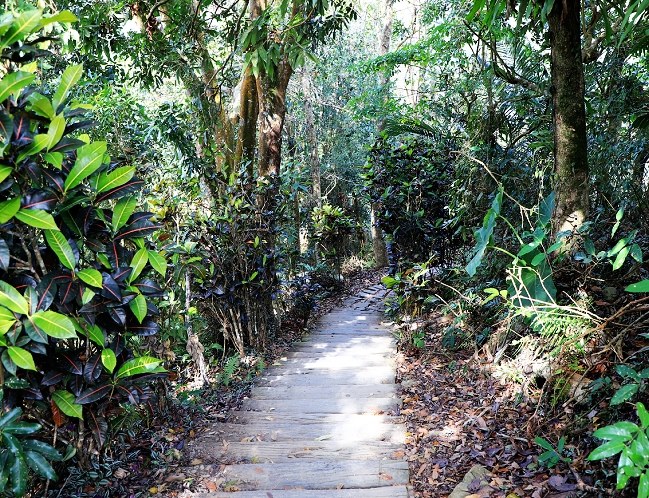 獨立山國家步道：步道資訊、路線選擇與附近景點指南
