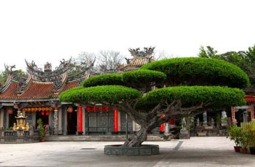 聖濟宮：開放時間、交通、必看景點與周邊旅遊全攻略