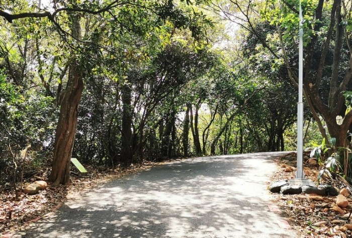 員林藤山步道：賞花健行之旅，探索俚語廊道與周邊景點