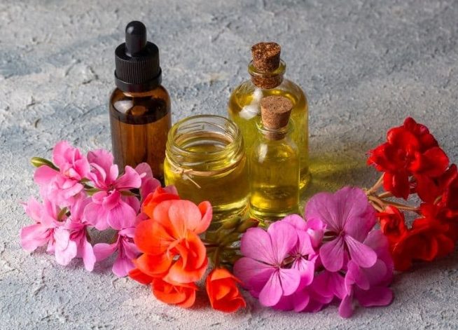 天竺葵精油功效：全方位香氛盟友的情緒、皮膚、女性呵護與應用指南