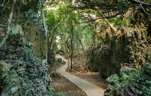 統一渡假村墾丁：南國慵懶假期全攻略，交通景點美食住宿一次解析