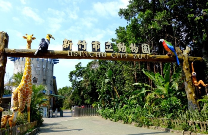 新竹市動物園：門票資訊、交通攻略、明星動物與住宿推薦