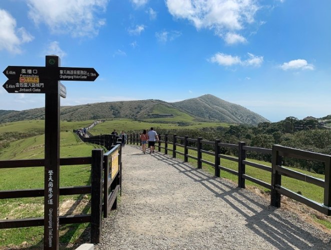擎天崗環形步道：草原步道探索全攻略，順逆時針差異與景點懶人包