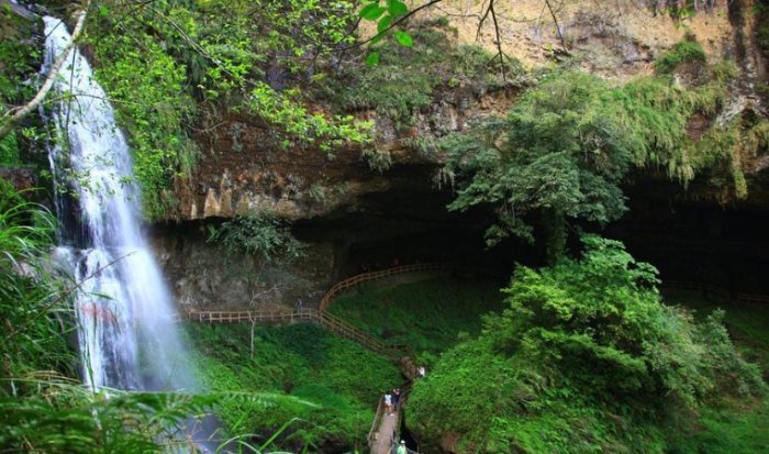 杉林溪森林遊樂園：交通、景點、住宿全攻略指南