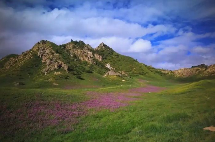 都蘭林場：免費入場、交通攻略與周邊景點全指南