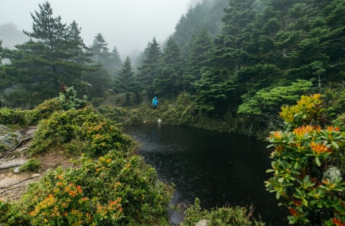 嘉明湖國家步道：登山交通、步道資訊與路線全攻略