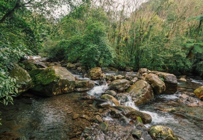 松羅國家步道：交通資訊、步道亮點與順遊景點全攻略