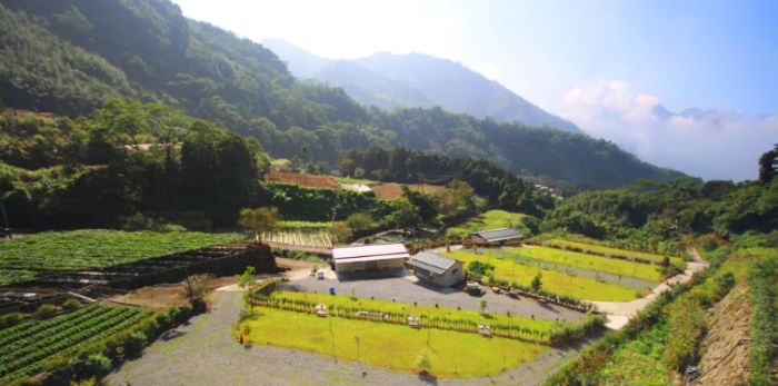 阿里山露營區：精選營區指南與實戰攻略