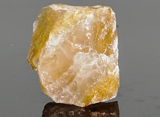 黃膠花功效：不只招財，還有神秘能量與脈輪應用全解析