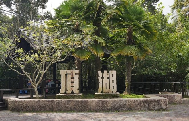 頂湖：免費零元入場、24小時全年無休自然桃花源，交通住宿景點全攻略