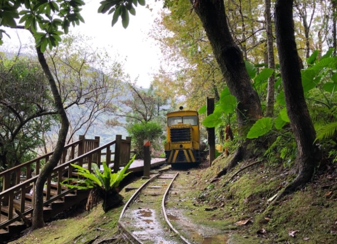 池南國家森林遊樂區：門票優惠、交通指南、路線行程與必訪景點全攻略