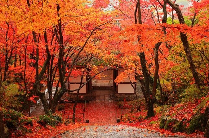 嵐山一日遊：經典秘境全攻略，行程規劃X必訪景點X美食住宿一次掌握