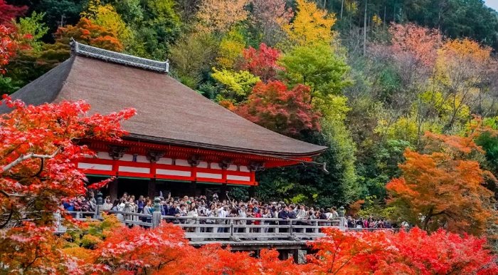 西芳寺：嵐山苔寺歷史參拜與預約全攻略
