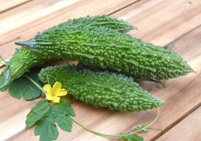 山苦瓜功效及禁忌：功效解密、禁忌注意、營養對比與料理秘訣