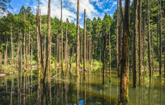 南投露營區：精選五大特色推薦、實用資訊比較與常見問答指南