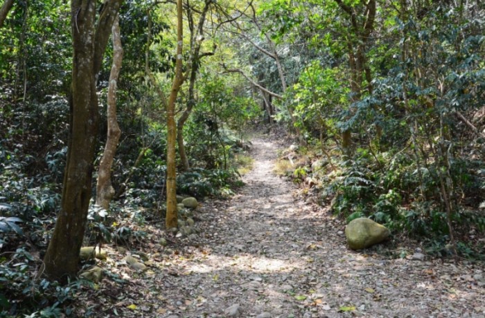 聖普宮：開放時間、交通指南、必去亮點、鄰近景點住宿美食及注意事項完整攻略