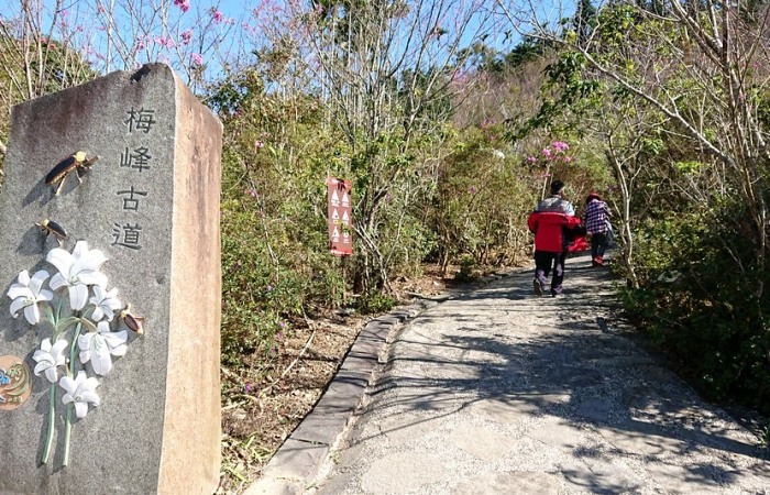 梅嶺風景區：交通、景點、美食、行程、住宿、注意事項全攻略