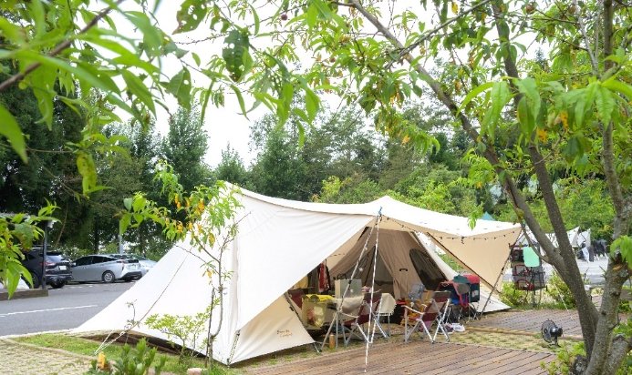 清境露營區: 露營場特色評比、裝備清單與高山露營指南