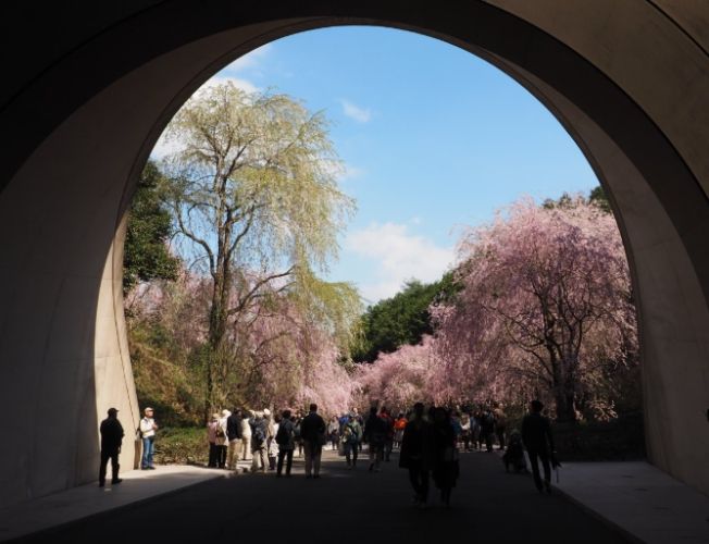 美秀美術館：完整參觀攻略、巴士交通與周邊景點推薦