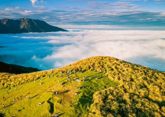 陽明山：完整旅遊指南，門票資訊、交通攻略、景點美食住宿推薦