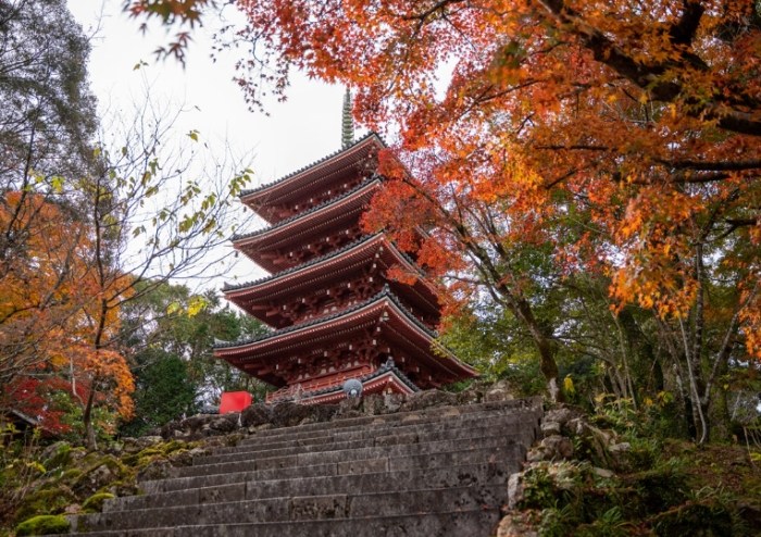 竹林寺：歷史、開放時間、節慶活動、交通與周邊景點完整攻略