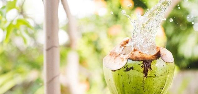 椰子水功效：不只解渴，揭秘驚人健康益處與關鍵禁忌