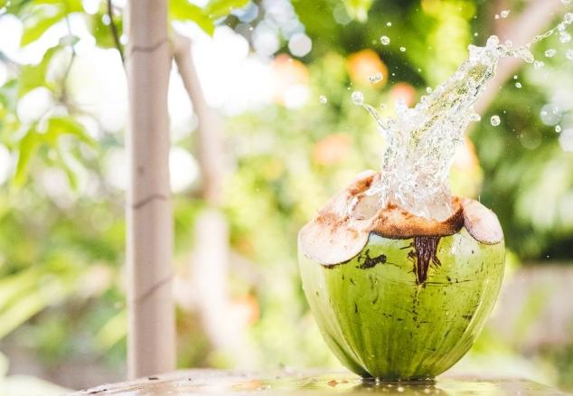 椰子水功效：不只解渴，揭秘驚人健康益處與關鍵禁忌