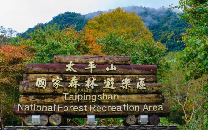 太平山森林遊樂區：迷霧綠寶石攻略！門票優惠/交通路線/秘境景點一次看