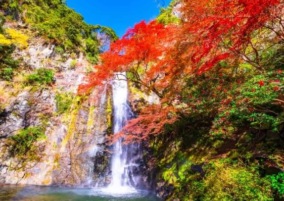 箕面瀑布：不只是瀑布！周邊景點、行程攻略與住宿推薦