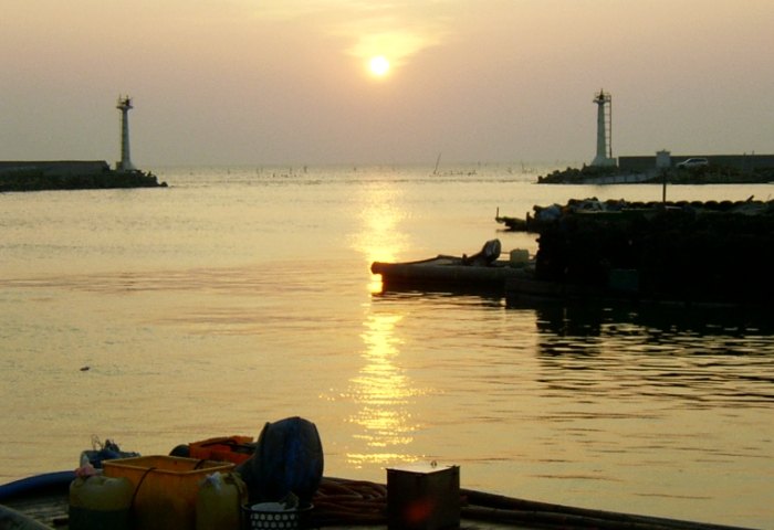 台西漁港：交通停車懶人包、必玩亮點景點與鮮味美食一次掌握