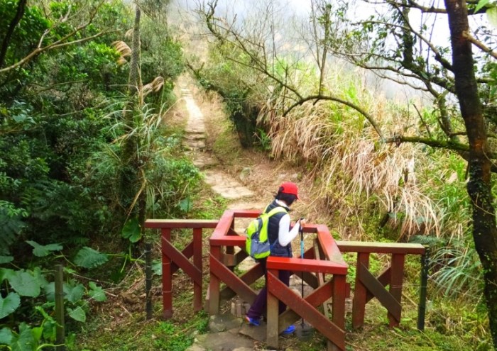 頂山石梯嶺步道：交通、步道資訊、路線景點全攻略