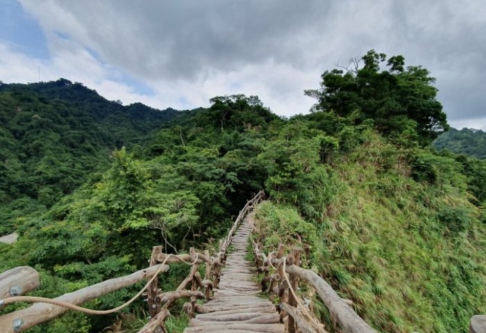 大坑5號步道：交通停車、步道資訊、路線推薦全攻略