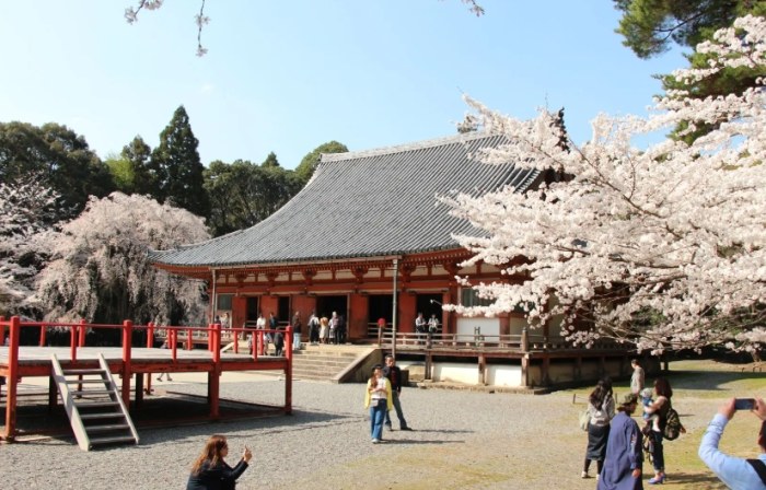 醍醐寺：京都千年古剎深度旅遊攻略
