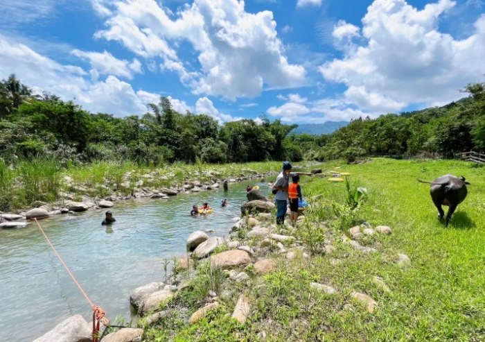 嘉義露營區推薦：躺看銀河、螢火蟲海與茶園親子夢幻營地精選