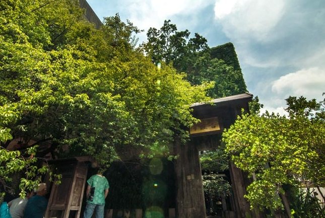 菩薩寺：探索建築美學前世今生、參訪指南與周邊旅遊全攻略