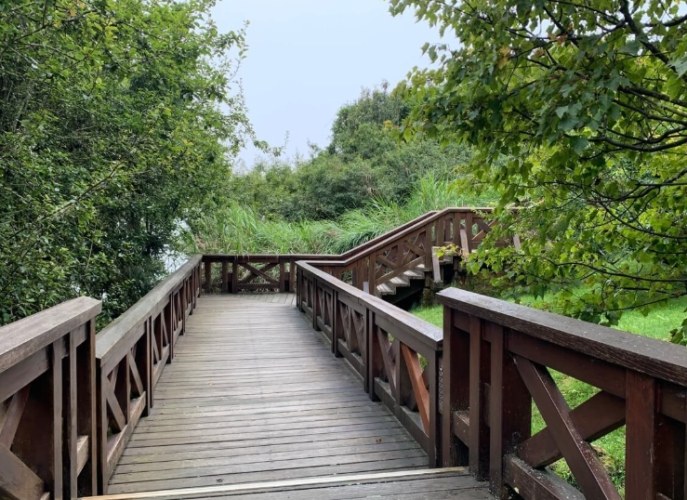 祝山觀日步道：阿里山日出步道攻略與周邊順遊指南