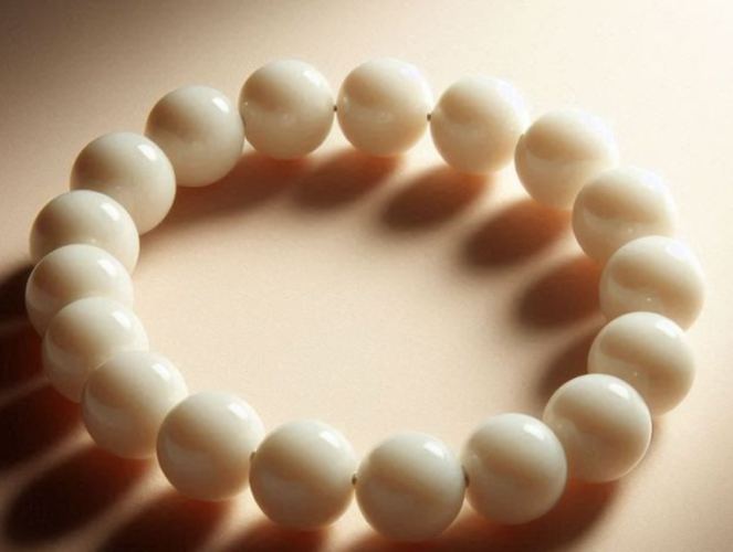 硨磲功效：探索神秘能量、禁忌辨偽與保養秘訣